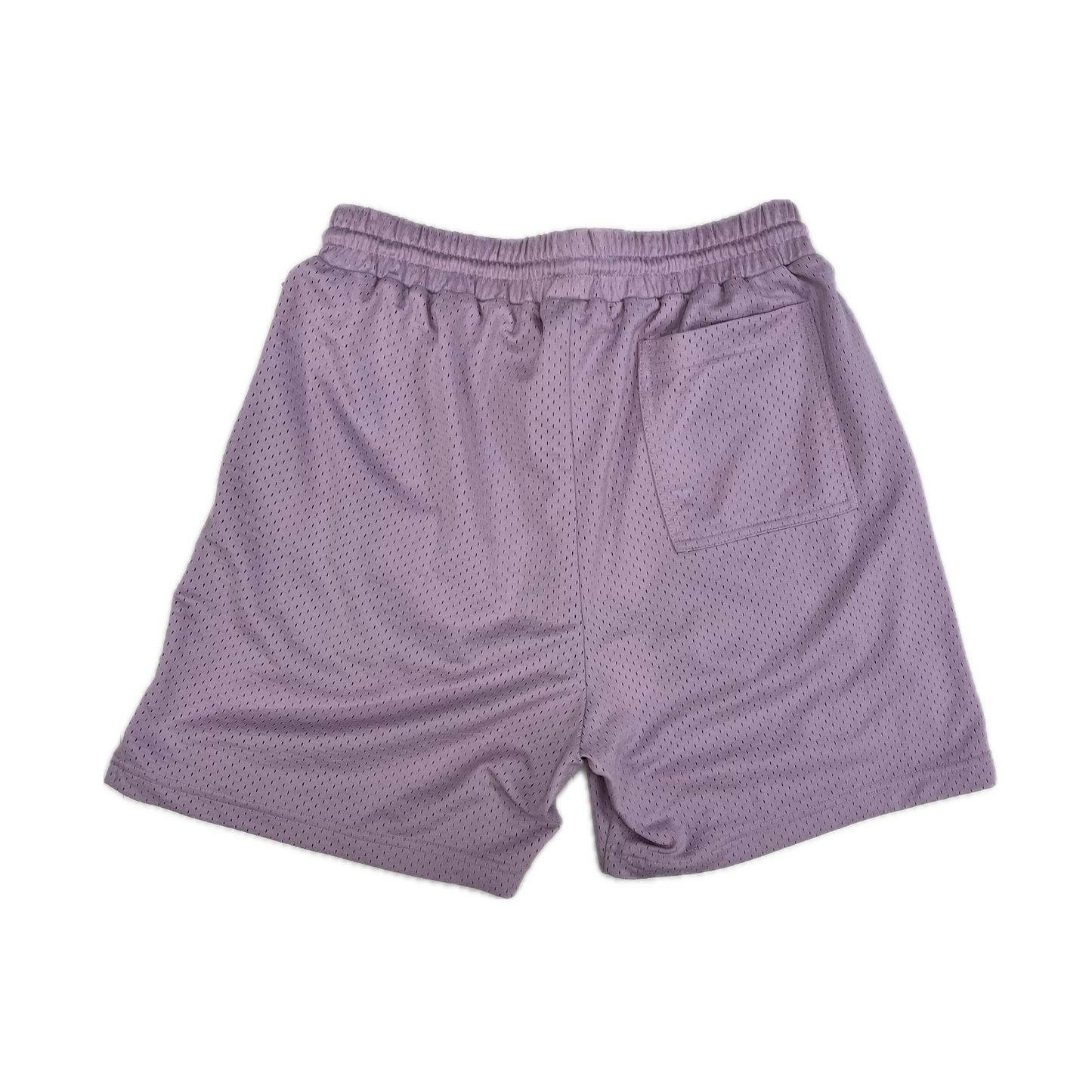 Represent Shorts Purple